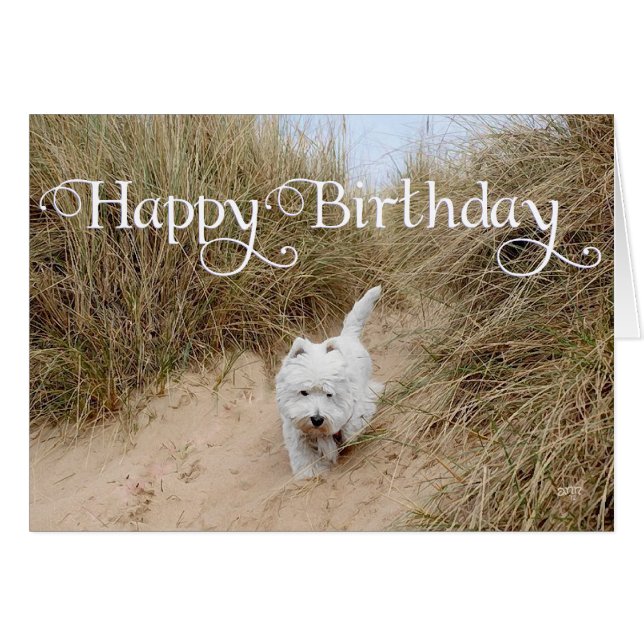 Westie an den Sanddünen (Vorderseite (Horizontal))
