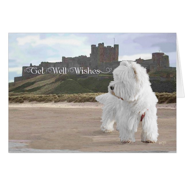 Westie au château de Bamburgh (Devant horizontal)