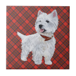 Westie auf Tartan-Kachel Fliese