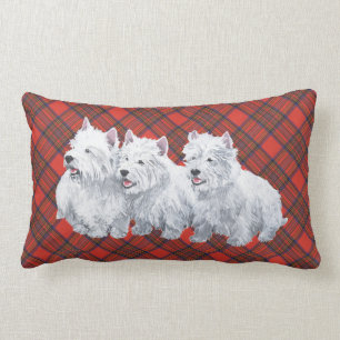 Westie auf Tartan-KISSEN Lendenkissen