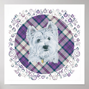 Westie auf Tartan Poster