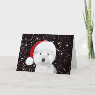 Westie Christmas Karte