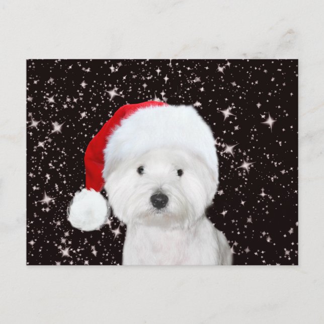 Westie Christmas Postkarte (Vorderseite)