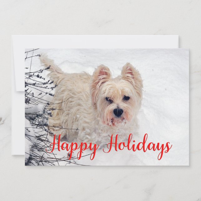Westie dans la neige Joyeux jours fériés carte (Devant)