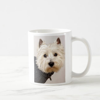 Westie dans le chandail sur une tasse