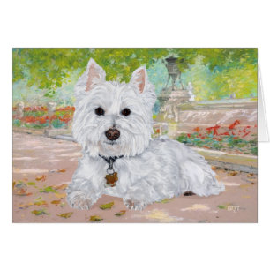 Westie dans le parc