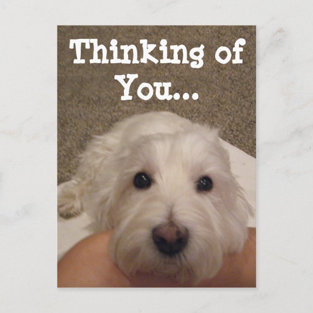 Westie Denken Sie an Ihr Foto Postkarte (Vorderseite)