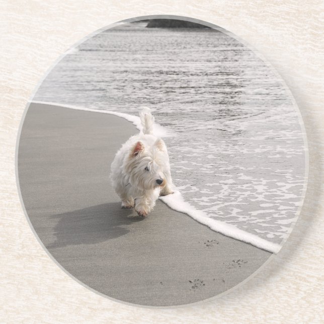 Westie Dog Foto Sandstone Untersetzer (Vorne)