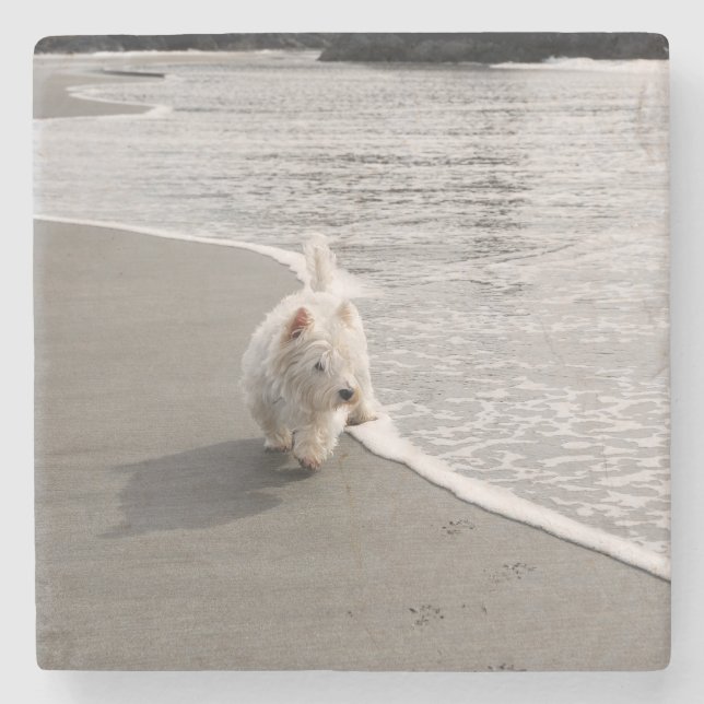 Westie Dog Foto Stone Untersetzer (Vorderseite)