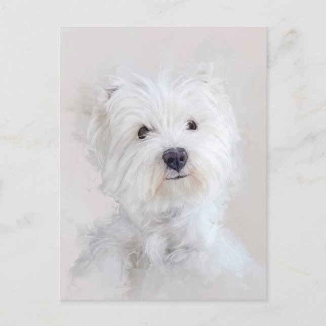 Westie Dog Portrait Postkarte (Vorderseite)