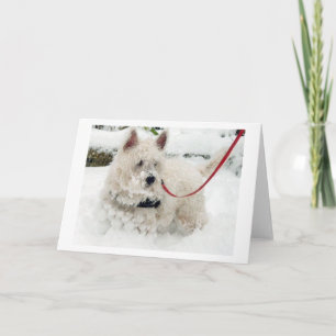 Westie Grußkartengeburtstag danke erhalten w etc.