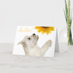 Westie Hello Blank Carte pour notes