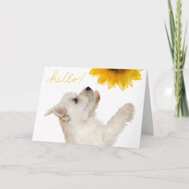 Westie Hello Blank Carte pour notes (Devant)