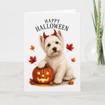 Westie Highland White Teufelshund