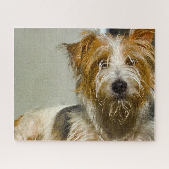 Westie Hogs Jigsaws. (Horizontal)