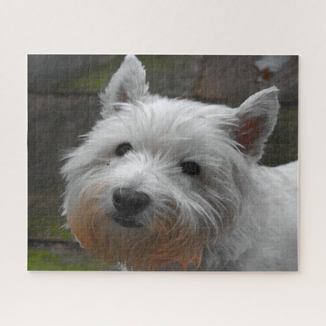Westie Hogs Jigsaws. (Horizontal)