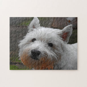 Westie Hunde Puzzles.