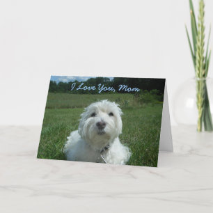 Westie I Karte der Liebe-Sie Mama-glückliche