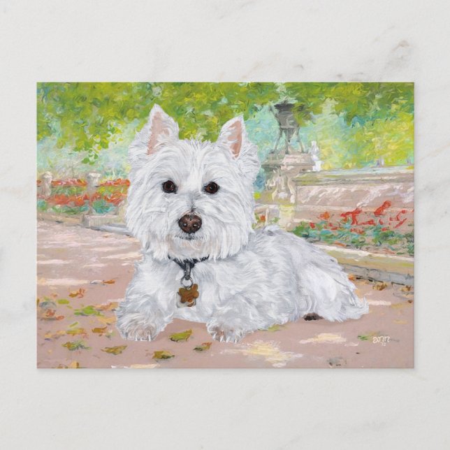 Westie im Park Postkarte (Vorderseite)