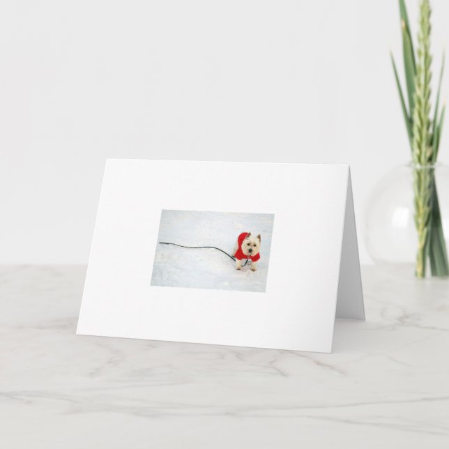 Westie im Schnee Feiertagskarte (Vorderseite)