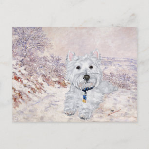 Westie im Winter Postkarte