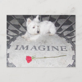 Westie Imagines Weltfrieden Postkarte