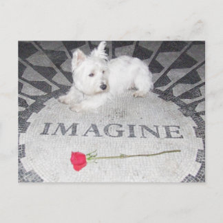 Westie Imagines Weltfrieden Postkarte