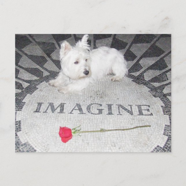 Westie Imagines Weltfrieden Postkarte (Vorderseite)
