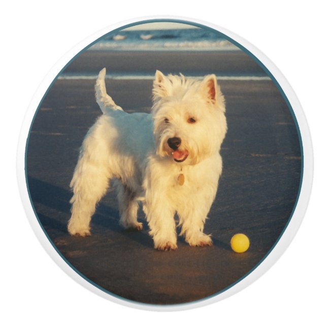 Westie Keramikknauf (Vorderseite)