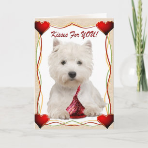Westie Kisses für Sie Karte