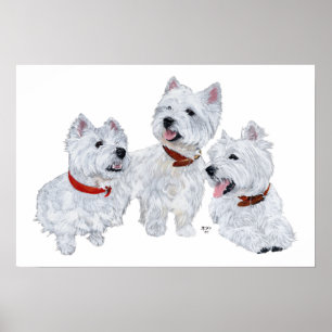 Westie-Konferenz Poster