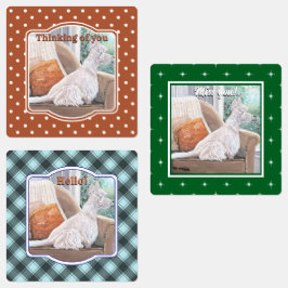 Westie Looking Out a Window Etiketten