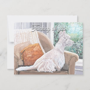 Westie Looking Out a Window Postkarte
