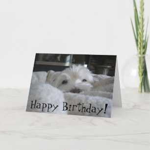 Westie mignon font face à la carte de voeux de