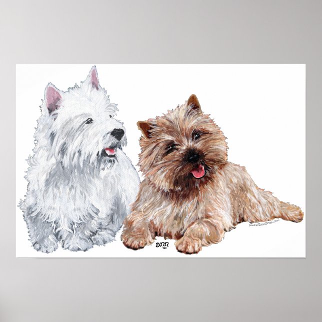 Westie mit einem braunen Cairn Terrier Poster (Vorne)