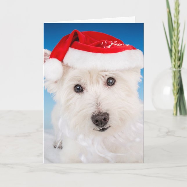 Westie mit Weihnachtsmannmütze und Bart Feiertagskarte (Vorderseite)