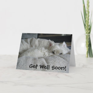 Westie obtiennent bientôt la carte de voeux bonne