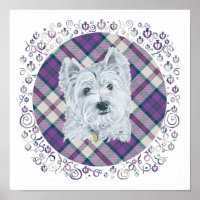 Westie on Tartan