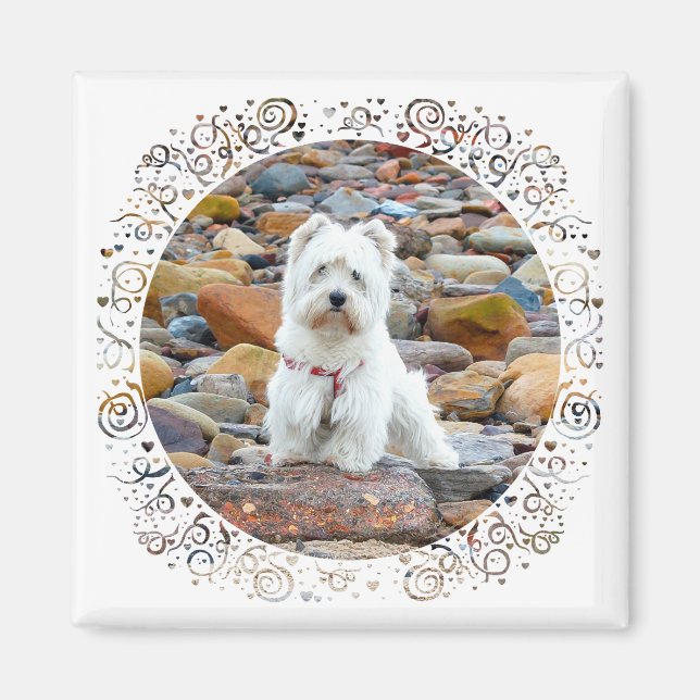 Westie on the Rocks Magnet (Vorne)