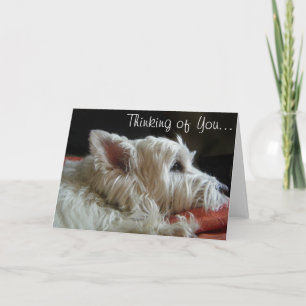 Westie pensant à vous carte de voeux de photo