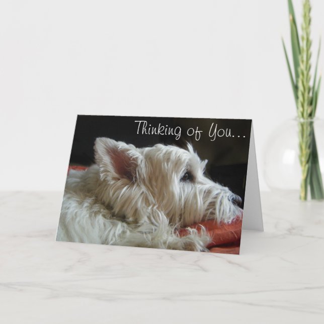 Westie pensant à vous carte de voeux de photo (Devant)