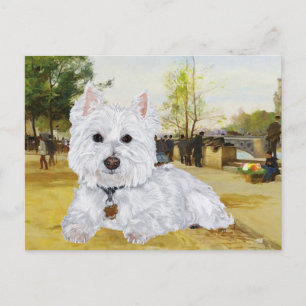Westie-Postkarte Postkarte
