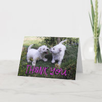 Westie Puppies Foto Danke Karte