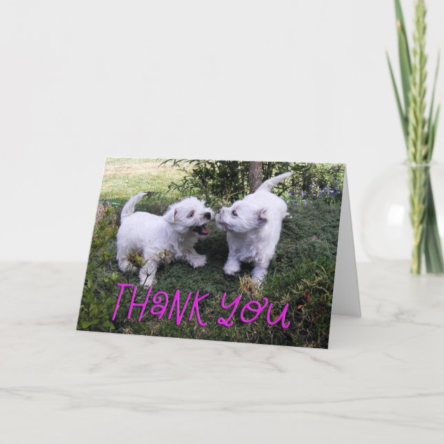 Westie Puppies Foto Danke Karte (Vorderseite)