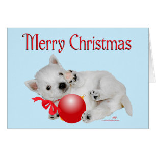 Westie Puppy Christmas Playtime