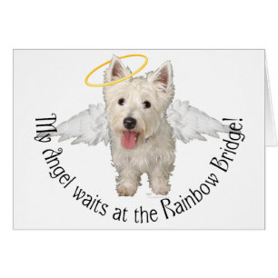 Westie Schutzengel
