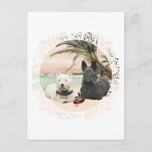 Westie & Scottie am Palmenstrand Postkarte