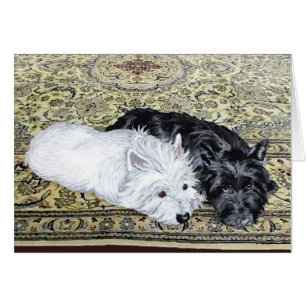 Westie & Scottie entspannt