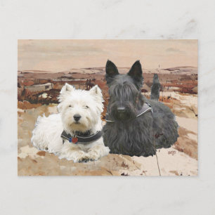 Westie & Scottie zusammen im Herbst Postkarte
