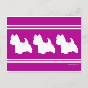 Westie-Silhouette auf Magenta Postkarte